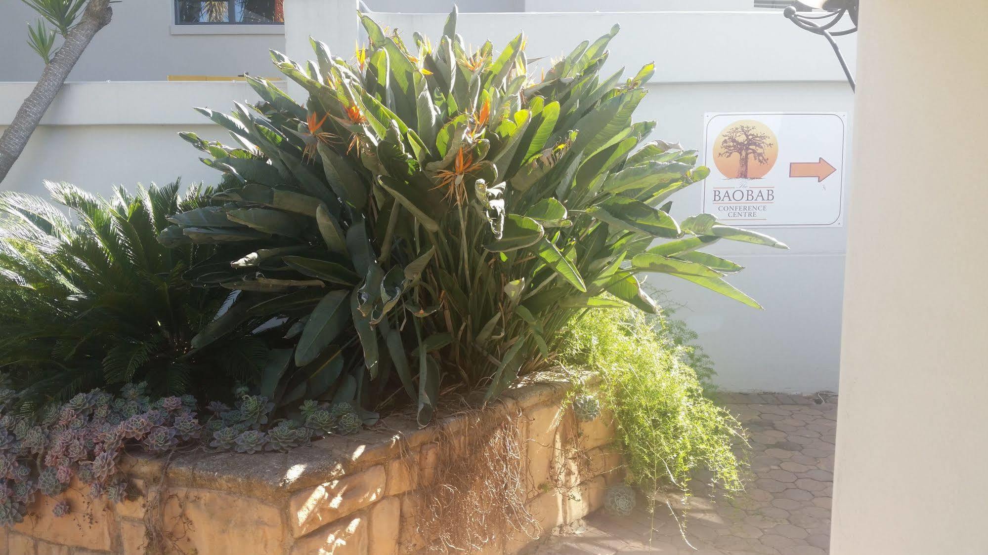 The Baobab Villa Midrand Exterior photo